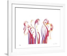 Symphonic Morphons-Shams Rasheed-Framed Giclee Print