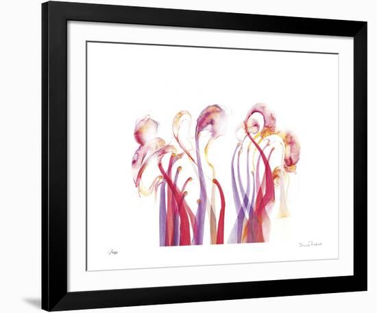 Symphonic Morphons-Shams Rasheed-Framed Giclee Print