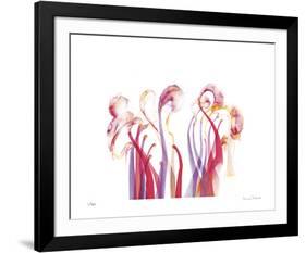 Symphonic Morphons-Shams Rasheed-Framed Giclee Print