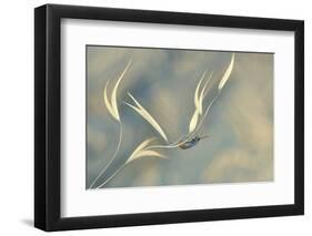 Symphony unfinished...-Thierry Dufour-Framed Photographic Print