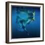 Symphony-Dmitry Laudin-Framed Photographic Print