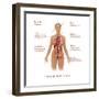 Symptoms of Diabetes-Gwen Shockey-Framed Art Print