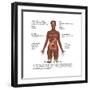 Symptoms of Multiple Sclerosis-Gwen Shockey-Framed Art Print