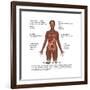 Symptoms of Multiple Sclerosis-Gwen Shockey-Framed Art Print