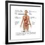 Symptoms of Multiple Sclerosis-Gwen Shockey-Framed Art Print