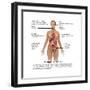 Symptoms of Multiple Sclerosis-Gwen Shockey-Framed Art Print