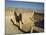 Synagogue, Masada, UNESCO World Heritage Site, Israel, Middle East-Simanor Eitan-Mounted Photographic Print