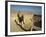 Synagogue, Masada, UNESCO World Heritage Site, Israel, Middle East-Simanor Eitan-Framed Photographic Print