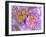 Synapse Nerve Junction, TEM-Thomas Deerinck-Framed Photographic Print