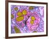 Synapse Nerve Junction, TEM-Thomas Deerinck-Framed Photographic Print