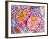 Synapse Nerve Junction, TEM-Thomas Deerinck-Framed Photographic Print