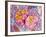 Synapse Nerve Junction, TEM-Thomas Deerinck-Framed Photographic Print