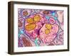 Synapse Nerve Junction, TEM-Thomas Deerinck-Framed Photographic Print