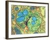 Synapse Nerve Junction, TEM-Thomas Deerinck-Framed Photographic Print