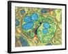 Synapse Nerve Junction, TEM-Thomas Deerinck-Framed Photographic Print