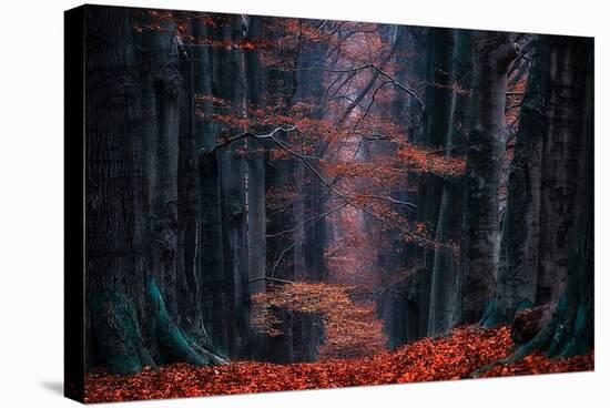 Synapse-Lars Van de Goor-Stretched Canvas