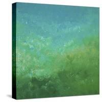 Synchronicity 8-Hilary Winfield-Stretched Canvas