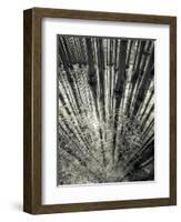 Synchronicity-Aurel Manea-Framed Photographic Print