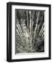 Synchronicity-Aurel Manea-Framed Photographic Print