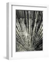 Synchronicity-Aurel Manea-Framed Photographic Print