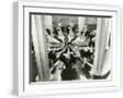 White Frame