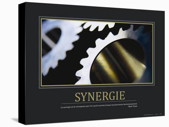 Synergie (French Translation)-null-Stretched Canvas