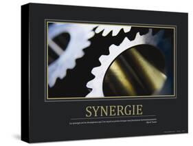 Synergie (French Translation)-null-Stretched Canvas