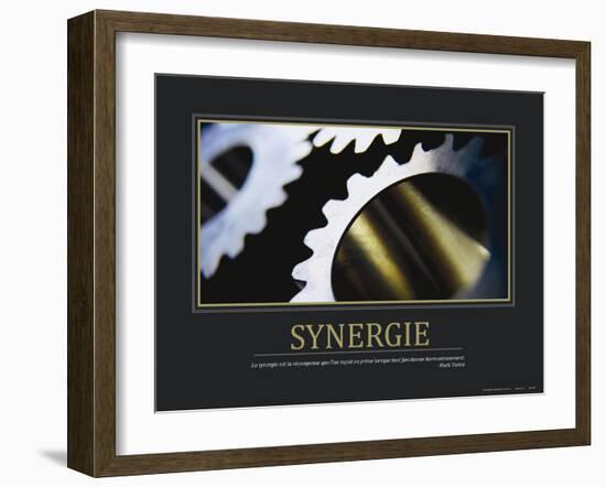 Synergie (French Translation)-null-Framed Photo