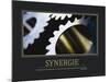 Synergie (French Translation)-null-Mounted Photo