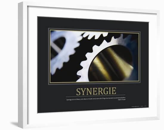 Synergie (German Translation)-null-Framed Photo