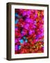 Synergy-Natasha Wescoat-Framed Giclee Print