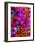 Synergy-Natasha Wescoat-Framed Giclee Print