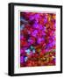 Synergy-Natasha Wescoat-Framed Giclee Print