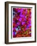 Synergy-Natasha Wescoat-Framed Giclee Print