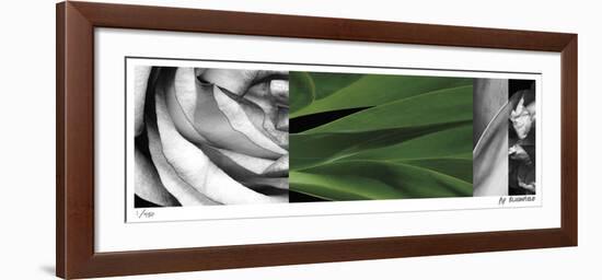 Synthesis 4-Pip Bloomfield-Framed Giclee Print