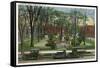 Syracuse, New York - Cars Parked around Fayette Park-Lantern Press-Framed Stretched Canvas