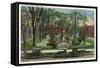 Syracuse, New York - Cars Parked around Fayette Park-Lantern Press-Framed Stretched Canvas