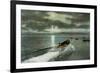 Syracuse, New York - Moonlight Boatride on Onondaga Lake-Lantern Press-Framed Premium Giclee Print