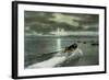 Syracuse, New York - Moonlight Boatride on Onondaga Lake-Lantern Press-Framed Art Print