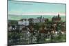 Syracuse, New York - Panoramic View of the University and Grounds-Lantern Press-Mounted Art Print