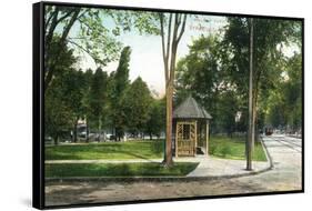 Syracuse, New York - Scenic View in Walnut Park-Lantern Press-Framed Stretched Canvas