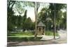 Syracuse, New York - Scenic View in Walnut Park-Lantern Press-Mounted Art Print