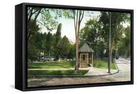 Syracuse, New York - Scenic View in Walnut Park-Lantern Press-Framed Stretched Canvas