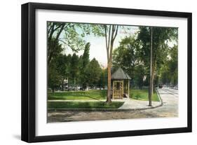 Syracuse, New York - Scenic View in Walnut Park-Lantern Press-Framed Art Print