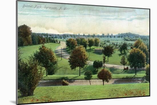 Syracuse, New York - View of Burnet Park-Lantern Press-Mounted Art Print