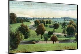Syracuse, New York - View of Burnet Park-Lantern Press-Mounted Art Print