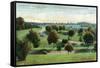 Syracuse, New York - View of Burnet Park-Lantern Press-Framed Stretched Canvas