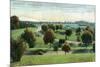 Syracuse, New York - View of Burnet Park-Lantern Press-Mounted Premium Giclee Print