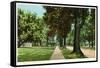 Syracuse, New York - View Up James Street-Lantern Press-Framed Stretched Canvas