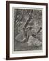 Syrens-Richard Caton Woodville II-Framed Giclee Print